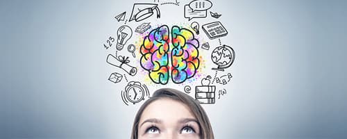 Neurociência aplicada ao dia-a-dia