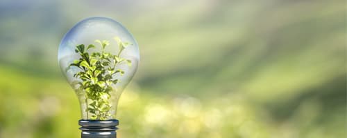 Sustentabilidade e responsabilidade socioambiental 
