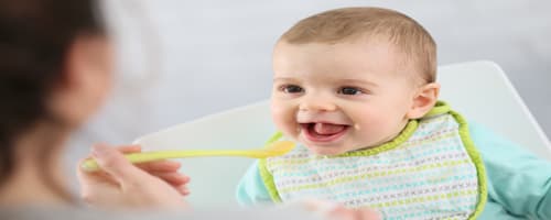  Que tal recorrer às papinhas para os bebês? 