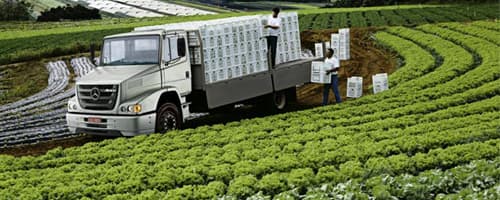 Vigilância Sanitária e a relação com a greve dos caminhoneiros 