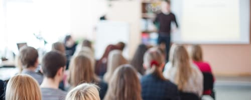 Importância da Gestão Escolar na área da educação 