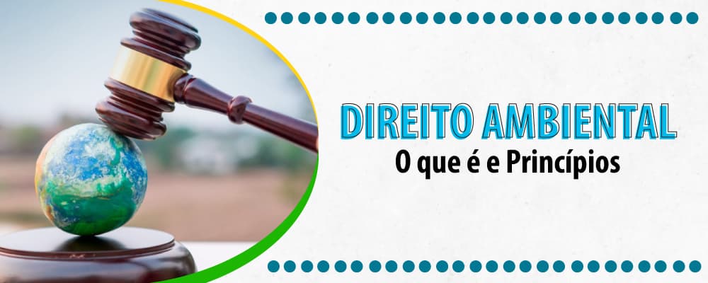 DIREITO AMBIENTAL: O QUE É E QUAIS SÃO SEUS PRINCÍPIOS
