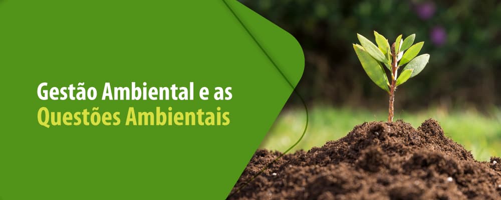 A importância da Gestão Ambiental para a preservação do meio ambiente