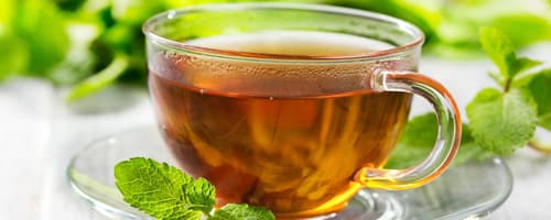 Chá de Hortelã: saudável e refrescante 
