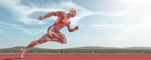 Aparelho locomotor, anatomia e a prática esportiva 