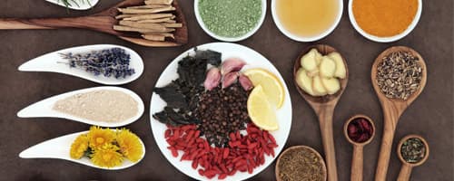 Conheça os 10 principais alimentos que fortalecem o sistema imunológico