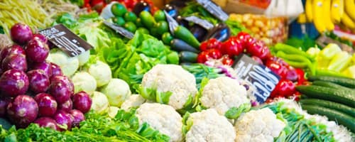 Uso de agrotóxicos: permanente polêmica? 