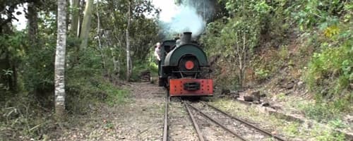 Pós Estácio fecha parceira com Instituto de Pesquisas em Ecologia Humana e o Instituto de Ferrovias 