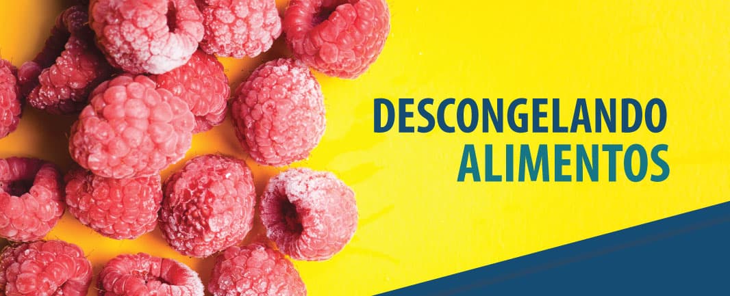 Nutrição: Como descongelar alimentos de forma correta