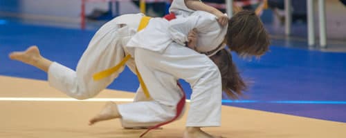 Artes Marciais - Importante contribuição para a educação das crianças 