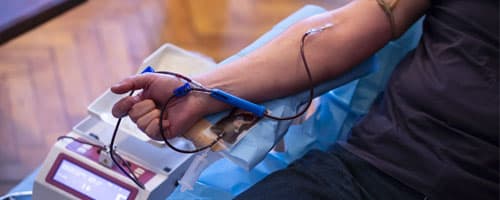 Dia Nacional do Doador de Sangue: conheça a importância desta data e deste ato de solidariedade