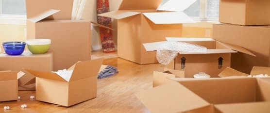 Como lidar com as mudanças do Cotidiano 