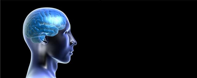 O cérebro e as atividades físicas