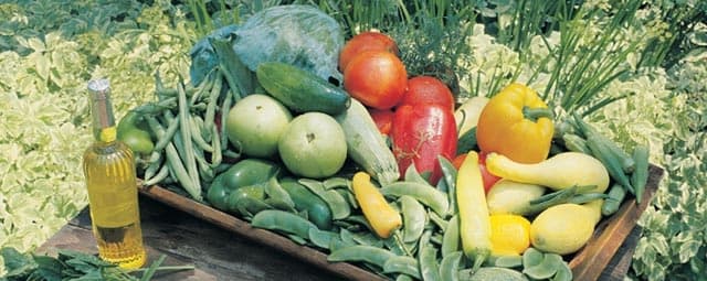 Alimentos saudáveis para a pele