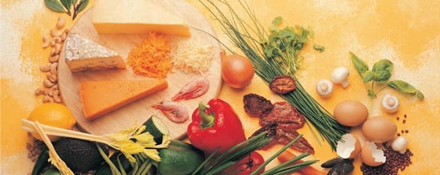 O que é Nutrição?