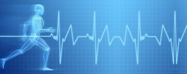 A profissão Fisiologia do Exercício