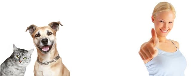 Os benefícios dos animais de estimação