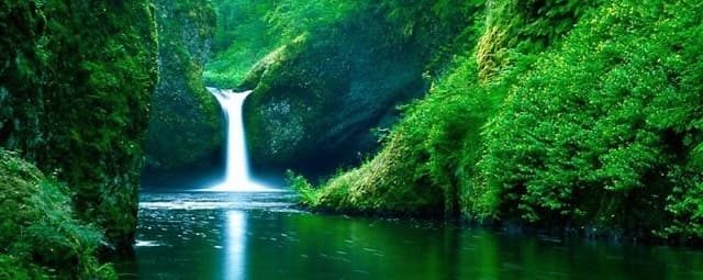 Meio Ambiente e Desenvolvimento Sustentável 