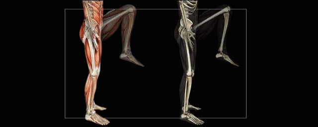 Por que fazer avaliação física antes da prescrição do exercício