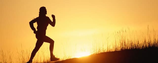 Qual a relação entre o exercício e o sistema imune?