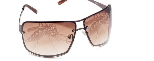 Como prevenir a dengue no Verão?