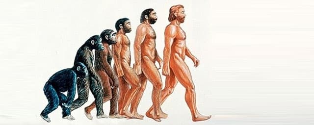 O que é antropologia?