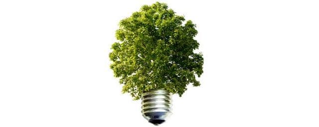 O que é sustentabilidade?