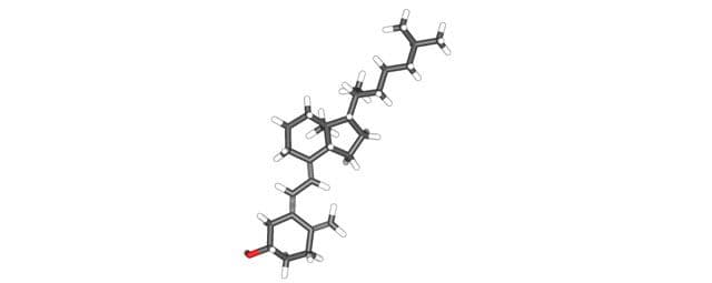 Quais são os benefícios da vitamina D