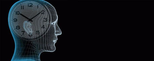 Os ritmos circadianos