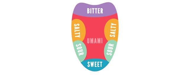 Você sabe o que é o umami?