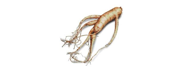 Os benefícios do ginseng