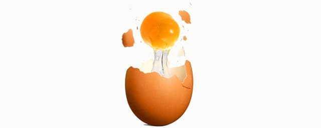 Os benefícios dos ovos para nutrição