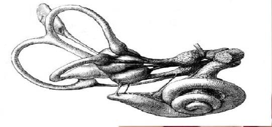 A Labirintite