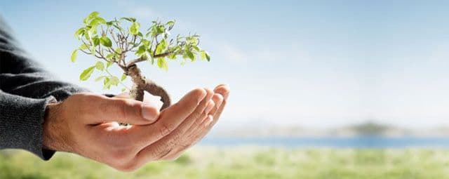 5 de junho - Dia Mundial do Meio Ambiente