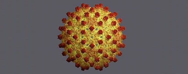 Os diferentes tipos de hepatite