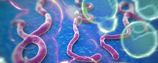 O que é Ebola?