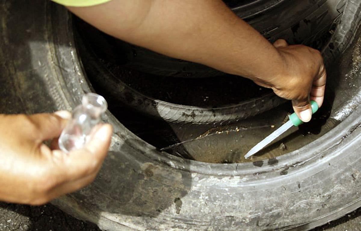 Ação de combate a dengue envolve o Exército em São Paulo 