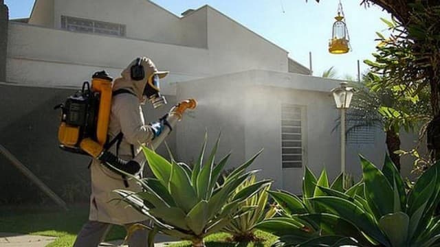 Casos de dengue chegam a 745,9 mil neste ano