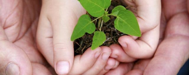 Estácio oferece palestras gratuitas em São Paulo sobre Meio Ambiente