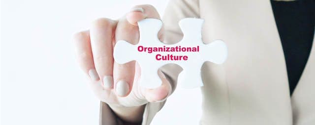 Diagnóstico Organizacional, com a Professora Elisa Próspero